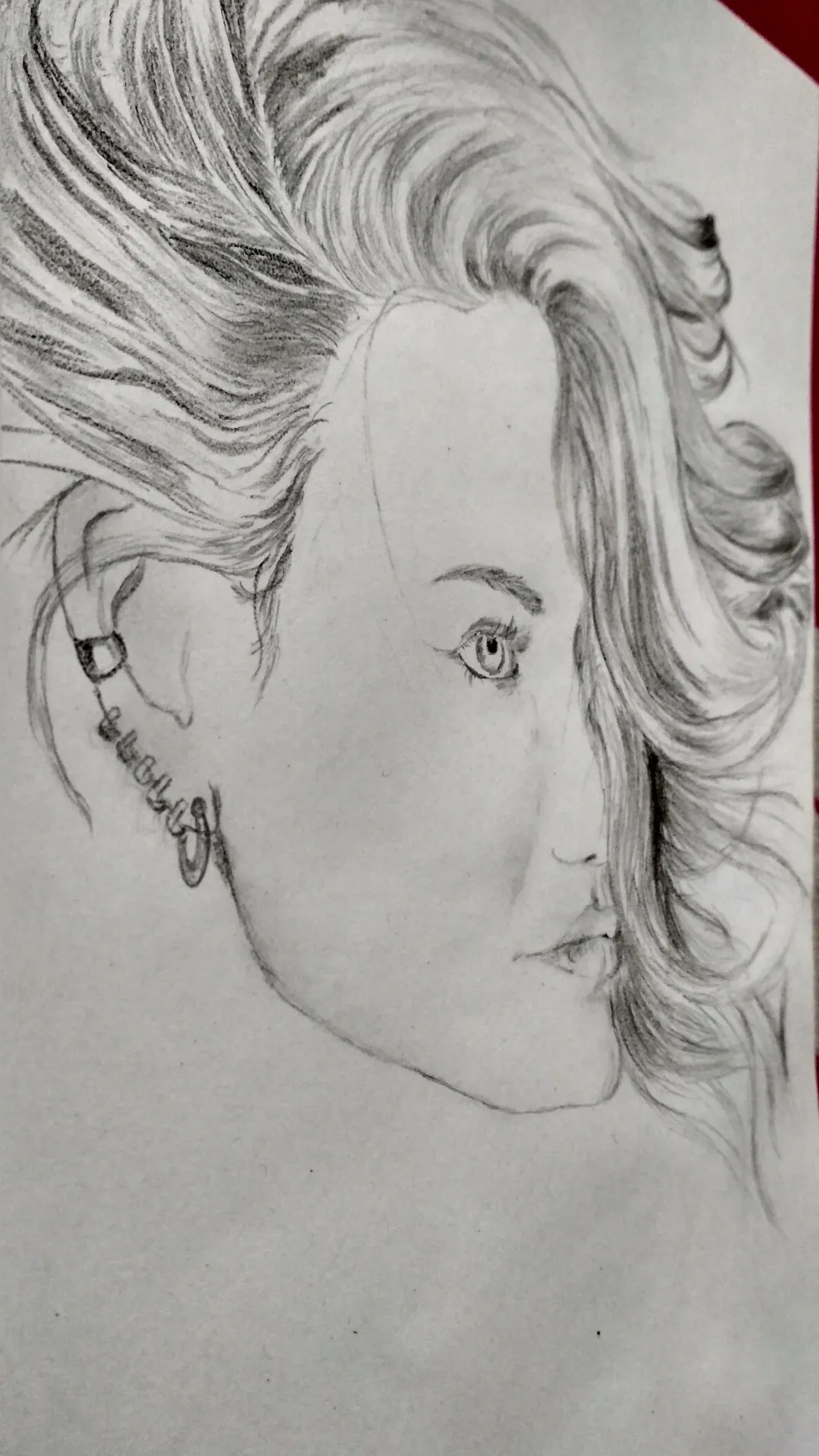 Fig4: Before final, but looks better from side angle