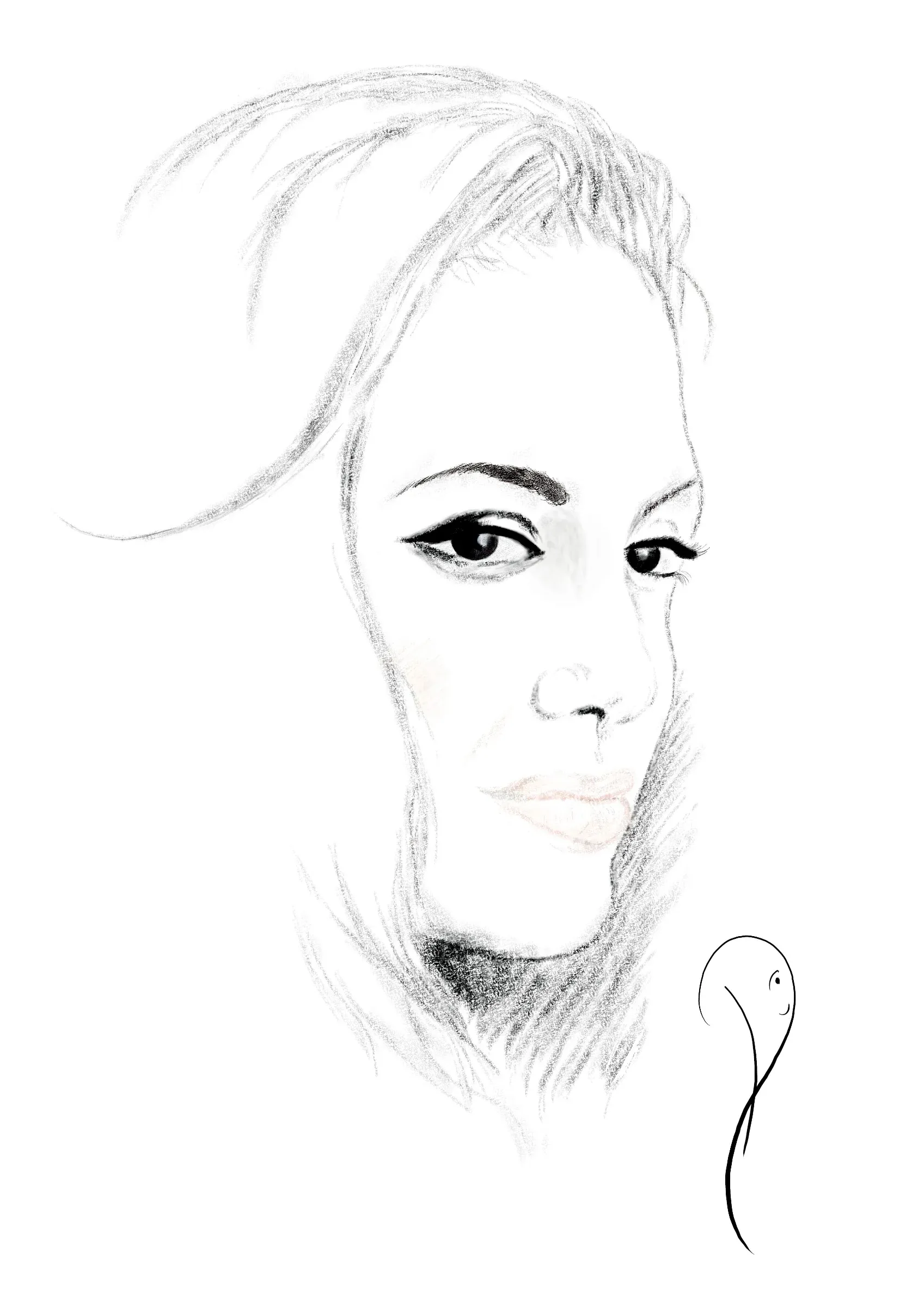 Fig 2.4: Final Image
